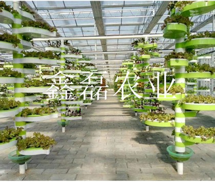 花卉、育苗基地